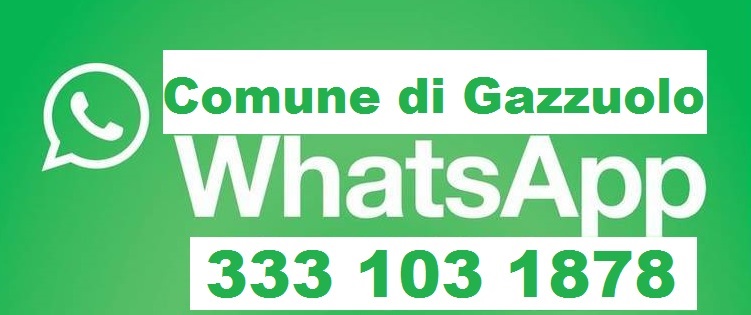 Whatsapp Gazzuolo